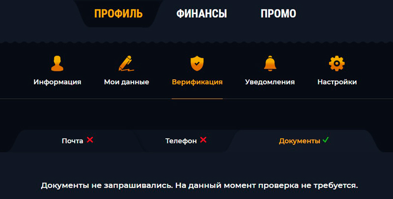 Вкладка «Верификация» в Личном кабинете