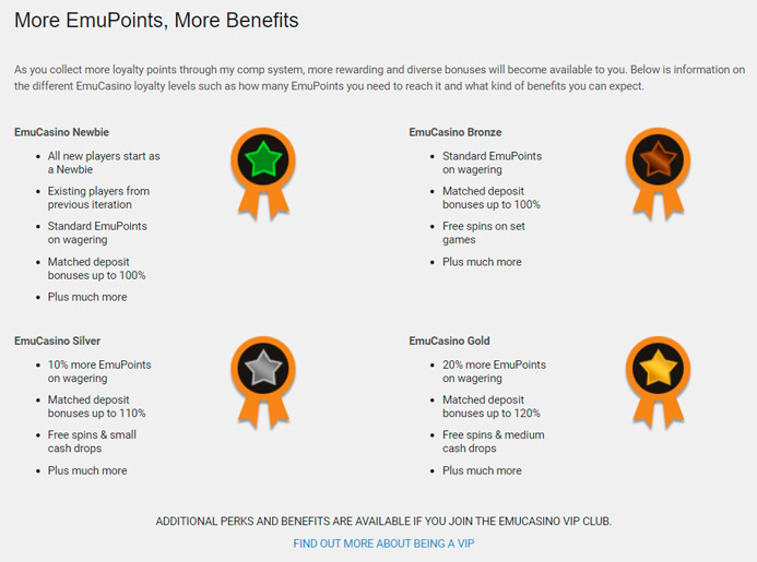 Программа лояльности