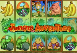 Jungle Adventure